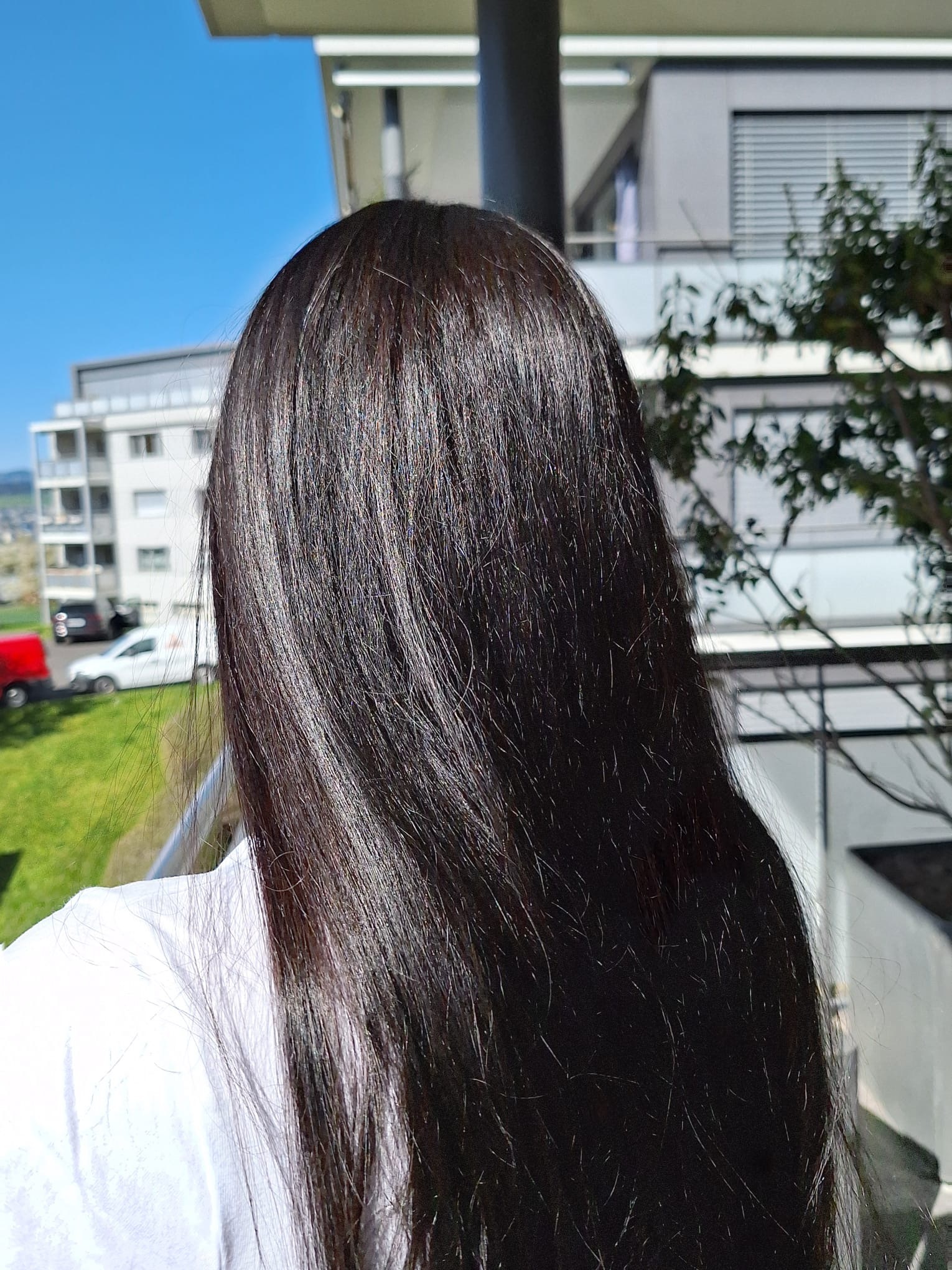 ERBE TINTORIE - f&uuml;r professionelles Haaref&auml;rben